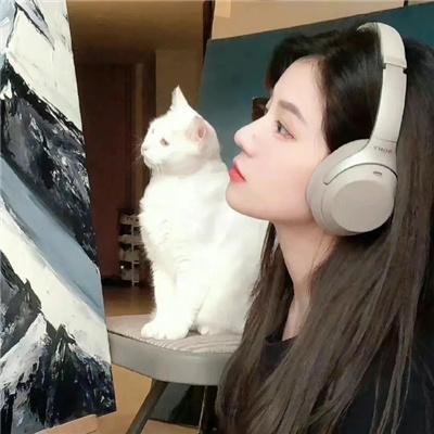 猫儿协奏曲