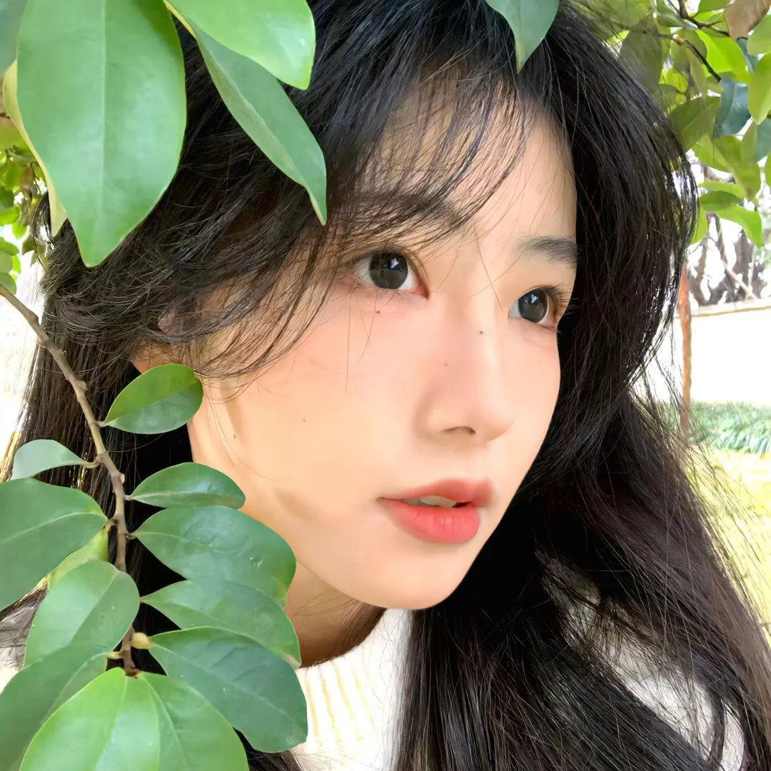 牢笼