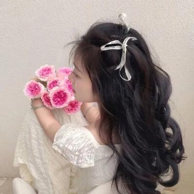 敌后便衣队传奇
